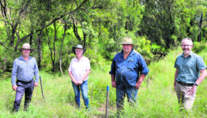 Restoration works continue in Bremer catchment
