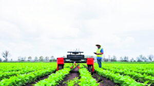 Research facility reinvigoration aimed at faster AgTech uptake by vegie growers