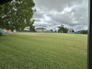 Beach volleyball for vigoro site