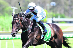 Connection is divine for Doughty and Clark