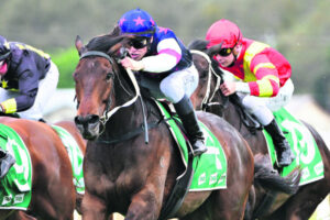 Corey tries to manage the stresses of racing