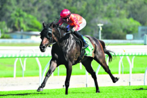 Bruce is proud of his training legacy