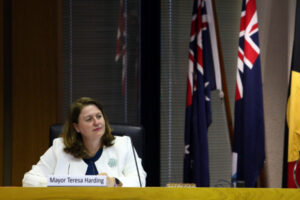 Councillors challenge Mayor’s powers