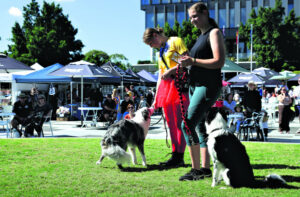 What’s On In Ipswich – 5th June 2024