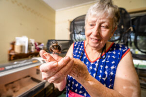 Bird in the bush worth two at vets