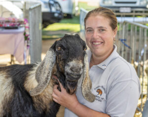 Wild and mild animals for all