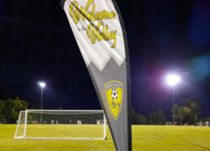 Springfield, Ripley teams boost finals hopes