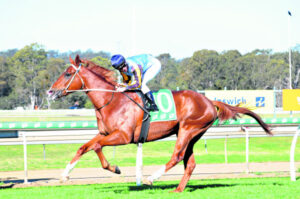 Big win gives Kemp food for thought