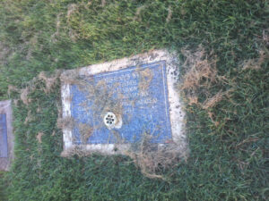 Cemetery fury: putrid water, ducks, lost graves