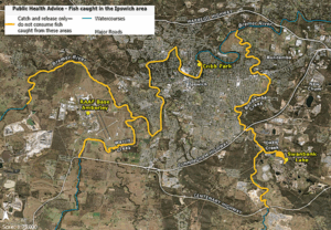 Defence warns of PFAS fish around Amberley