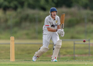 Batting ace leads way helping Hornets young guns