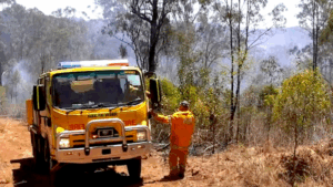 Heavy fuel loads build bushfire hazard