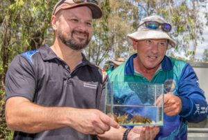 Rare cod on menu for peckish birds