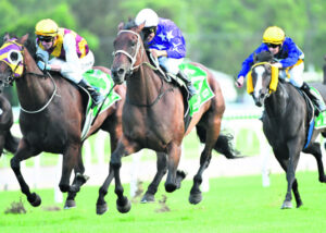 Brett is just happy winning with Waller