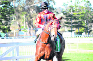 Schweida puts his faith in the King of Ipswich