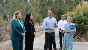 Greens suspicious if health probe will ever happen