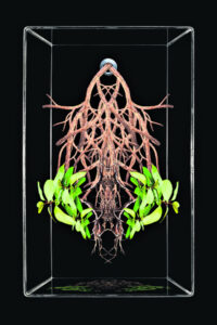 What’s On In Ipswich 14th February 2024