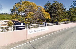 Pisasale outvoted by Barty party