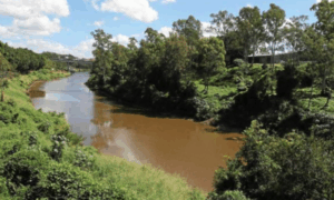 Plans to axe rivers funding after abysmal reports