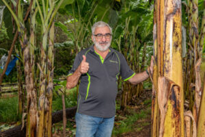 Banana Bill will tell you where to grow