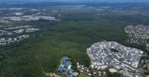 Woogaroo owner loses Pisasale libel case