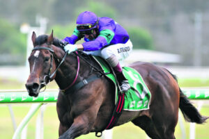 Shrewd Lipp finds key to talented mare