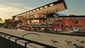 First dog race trials at The Q before opening