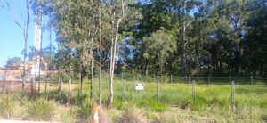 Fears police works will disturb asylum graves