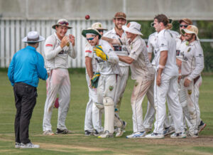 Six striker Cross blazes in bizarre Hornets victory