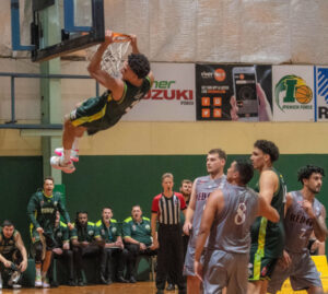 Ipswich’s new Force has rising NBL1 hopes