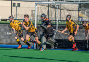 Building junior base keeps Tigers roaring ahead