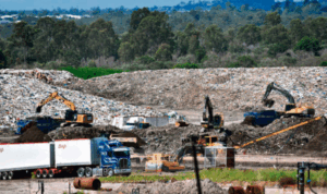 MP dumped site visits