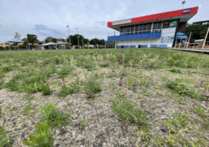 Councillors to vote on bowls club sale