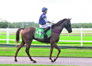 Taylor rides higher with inspiration from dad