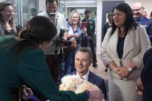 Funds for student wellbeing projects