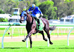 Karl craves good horse to ride to the top