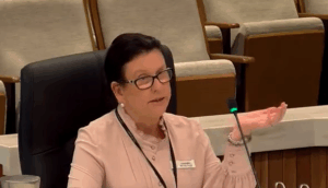 Councillor calls for domestic violence strategy