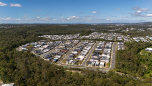 Boast of green credentials as pest kills off trees