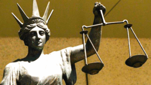 Dog attack pair fined