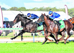 Publicity shy Andrew repays Hayes loyalty