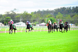 Gift horse ready to grow up and show out