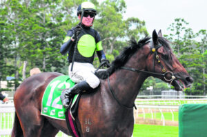 Steve and Matt take time to build success