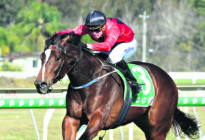 Bubba wants to light up the racing world