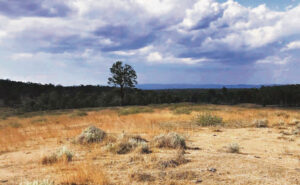 Developers recognise indigenous culture