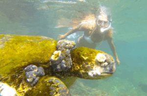 Landmark environmental doco screening at Redbank