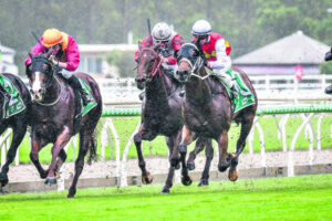 Brian wants to have more fun this time