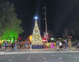 What’s On In Ipswich – 27th November 2024