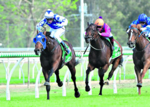 Racing still gives Schweida a buzz