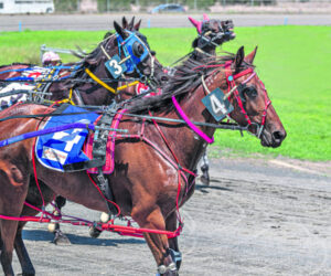 Border Trots 26th July 2023