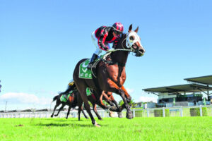 Call her what you like Tegan’s a survivor